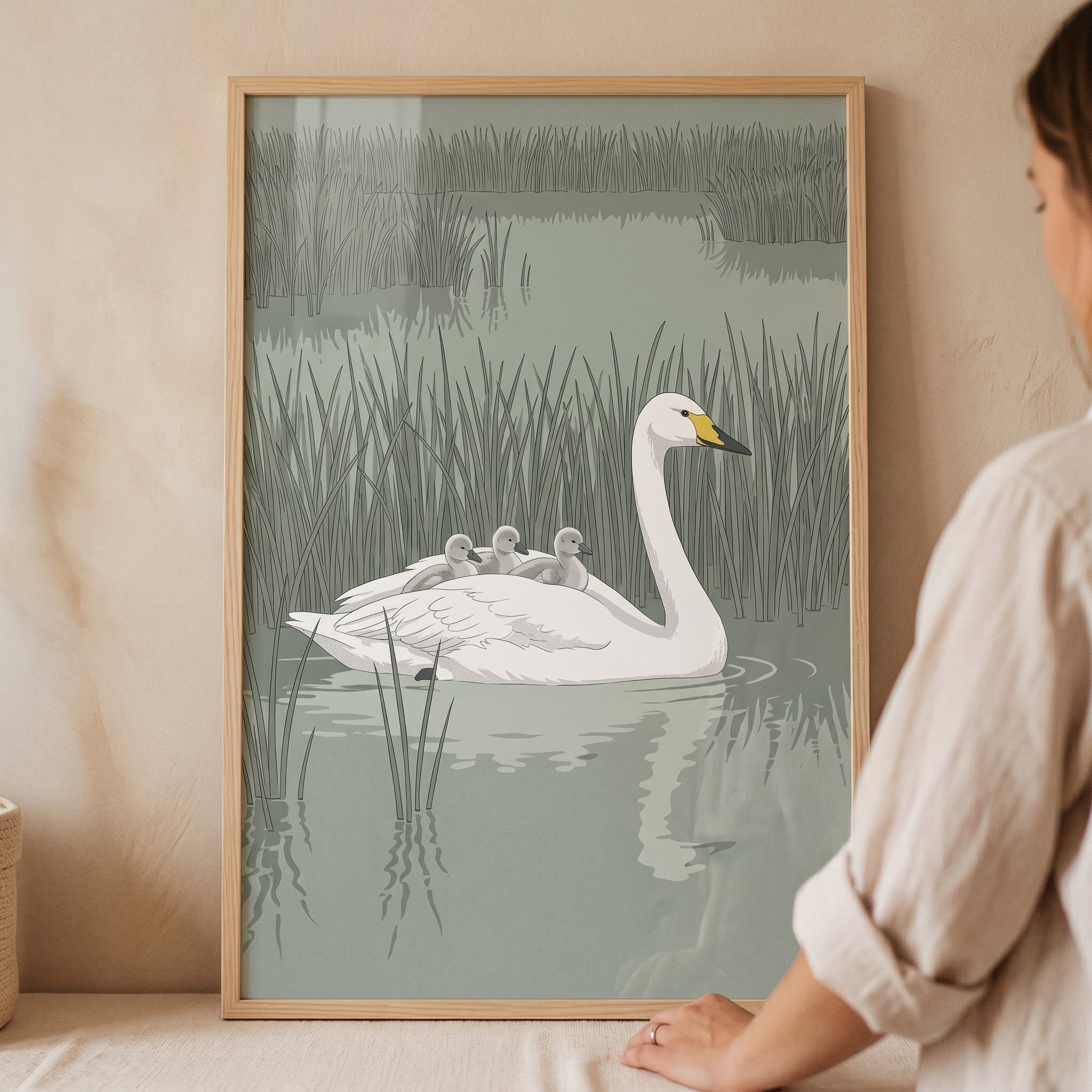 Hitchhiking Baby Cygnets Swan Wall Art - Swan Family Voyage