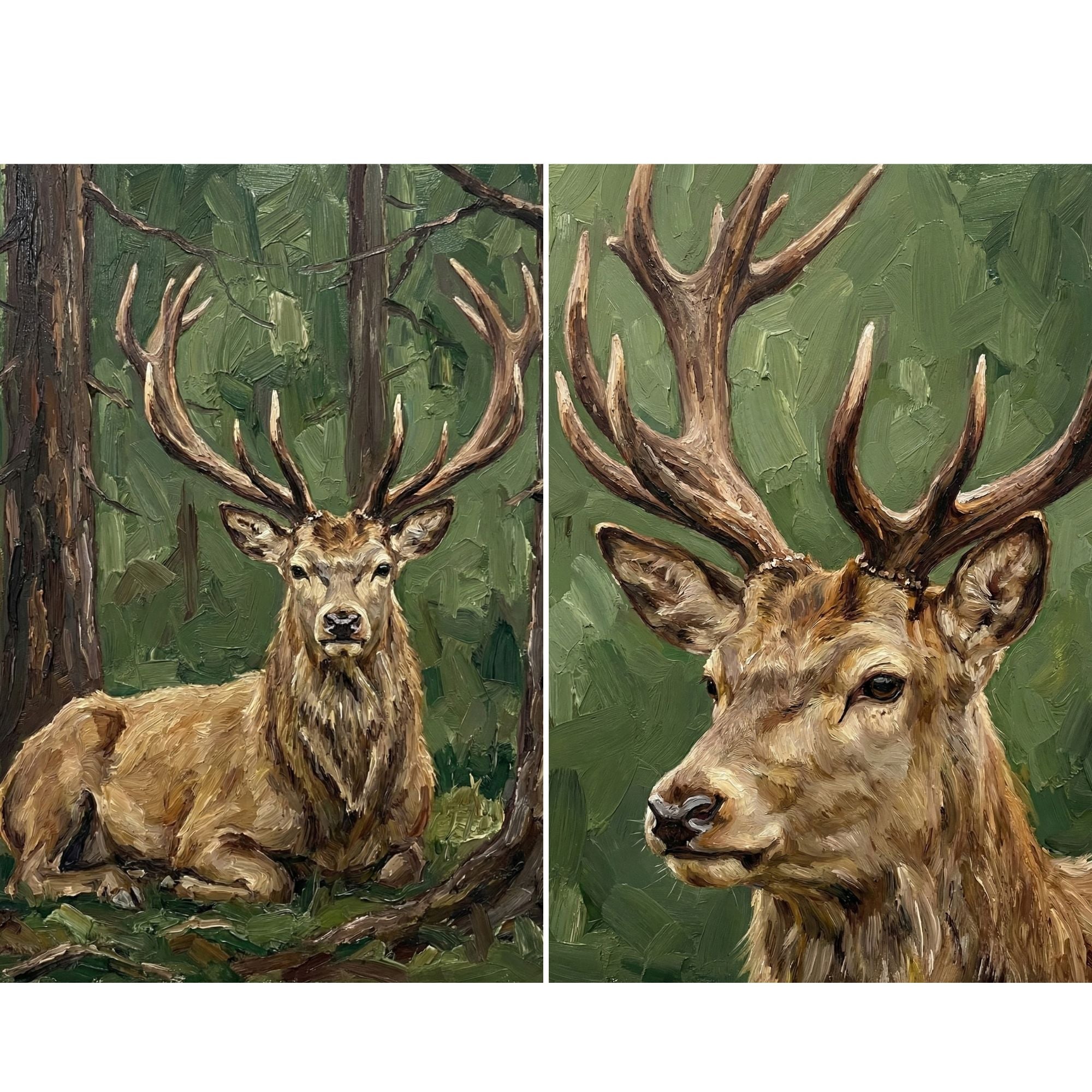 Two textured oil style paintings of a majestic stag with large branching antlers set against a deep green forest backdrop. One artwork shows the deer resting on the forest floor among trees and grass, while the other captures a close up portrait highlighting its alert eyes and detailed antlers. The rich brushstrokes and earthy tones give this wall art set a rustic woodland feel that suits cabin decor or nature inspired spaces.