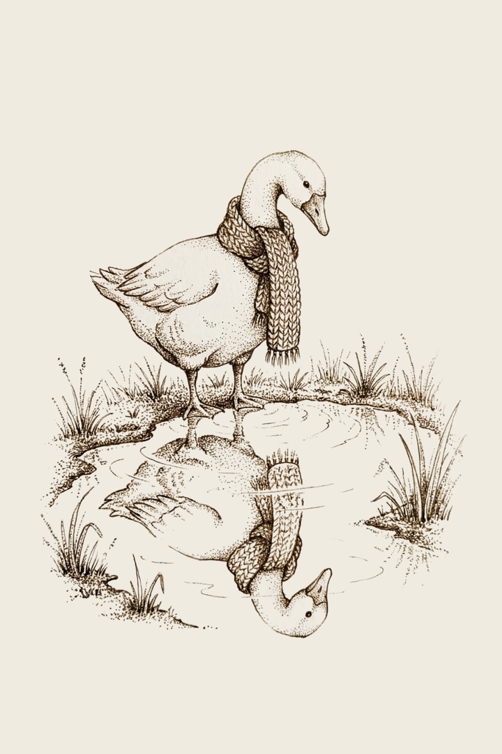 Vintage style duck illustration standing at the edge of a small pond wearing a knitted scarf with its reflection visible in the water.
