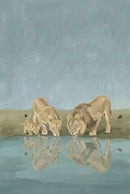 A lion, lioness, and cub drink from a calm waterhole, their reflections mirrored clearly in the blue surface below. The soft savannah backdrop enhances the tranquil family moment.

