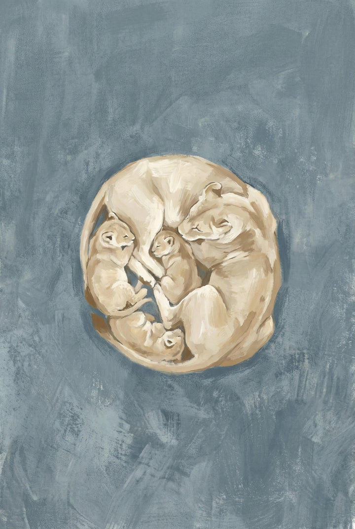 A lioness sleeps curled protectively around three cubs, their bodies forming a warm, peaceful circle against a textured blue background.
