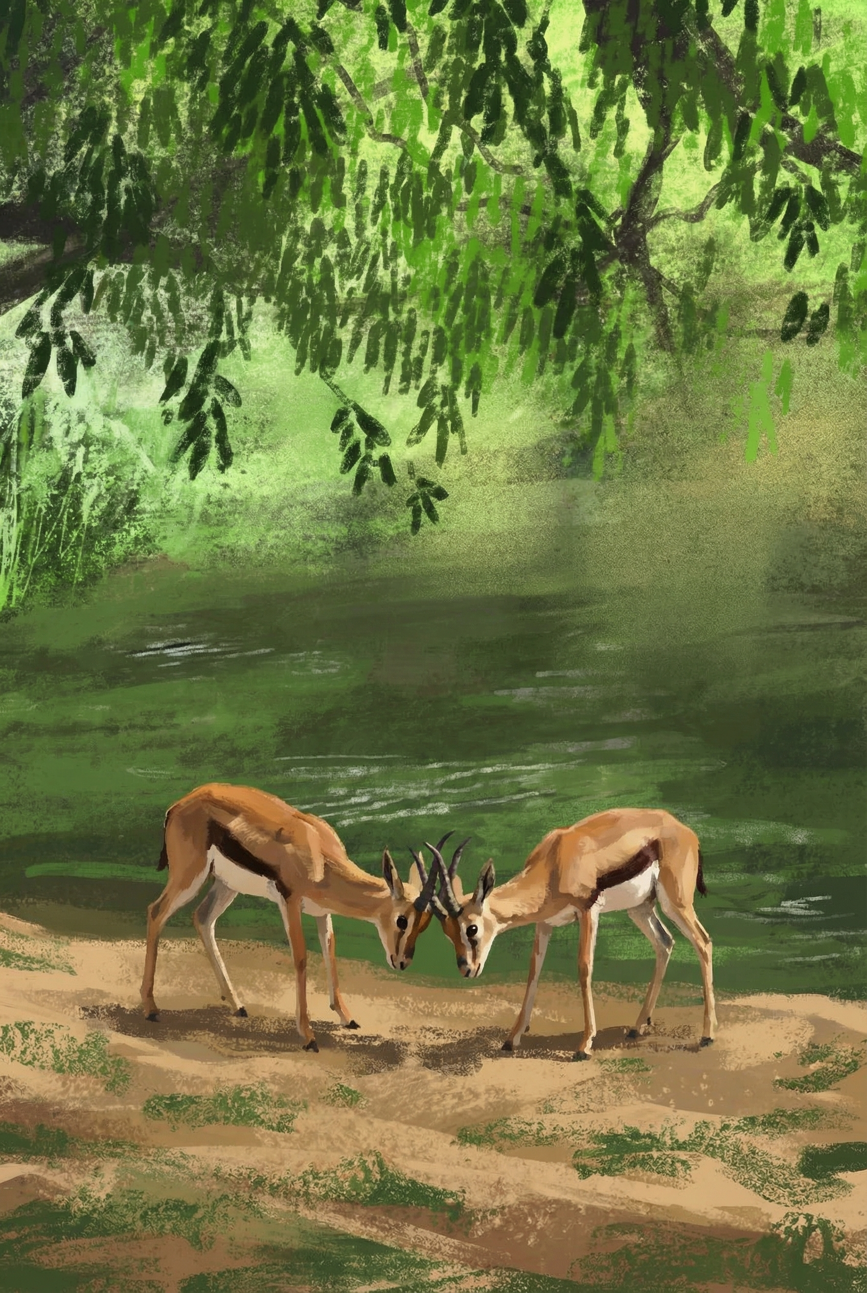 Locking Horns Gazelle Wall Art - Gentle Wild Duel