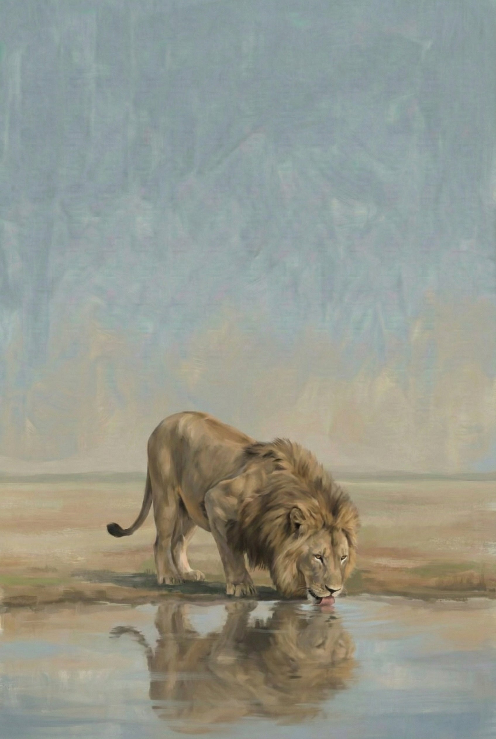 Male Lion Drinking Water Wall Art - Thirsty Golden Lion