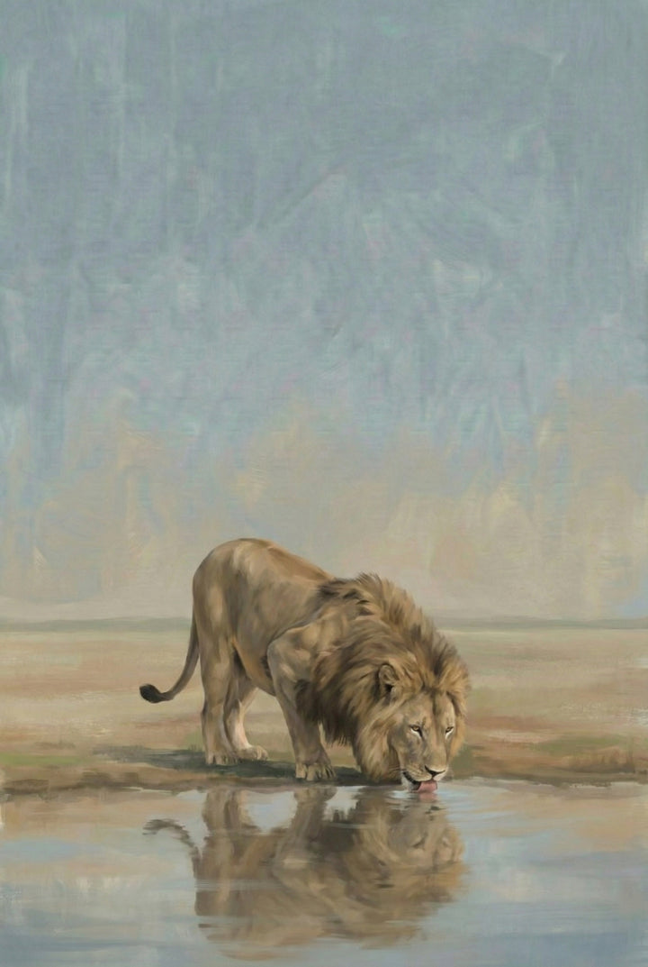 A majestic male lion leans down to drink from a calm waterhole, his reflection mirrored in the surface. The scene is quiet and intimate, framed by soft savanna tones.
