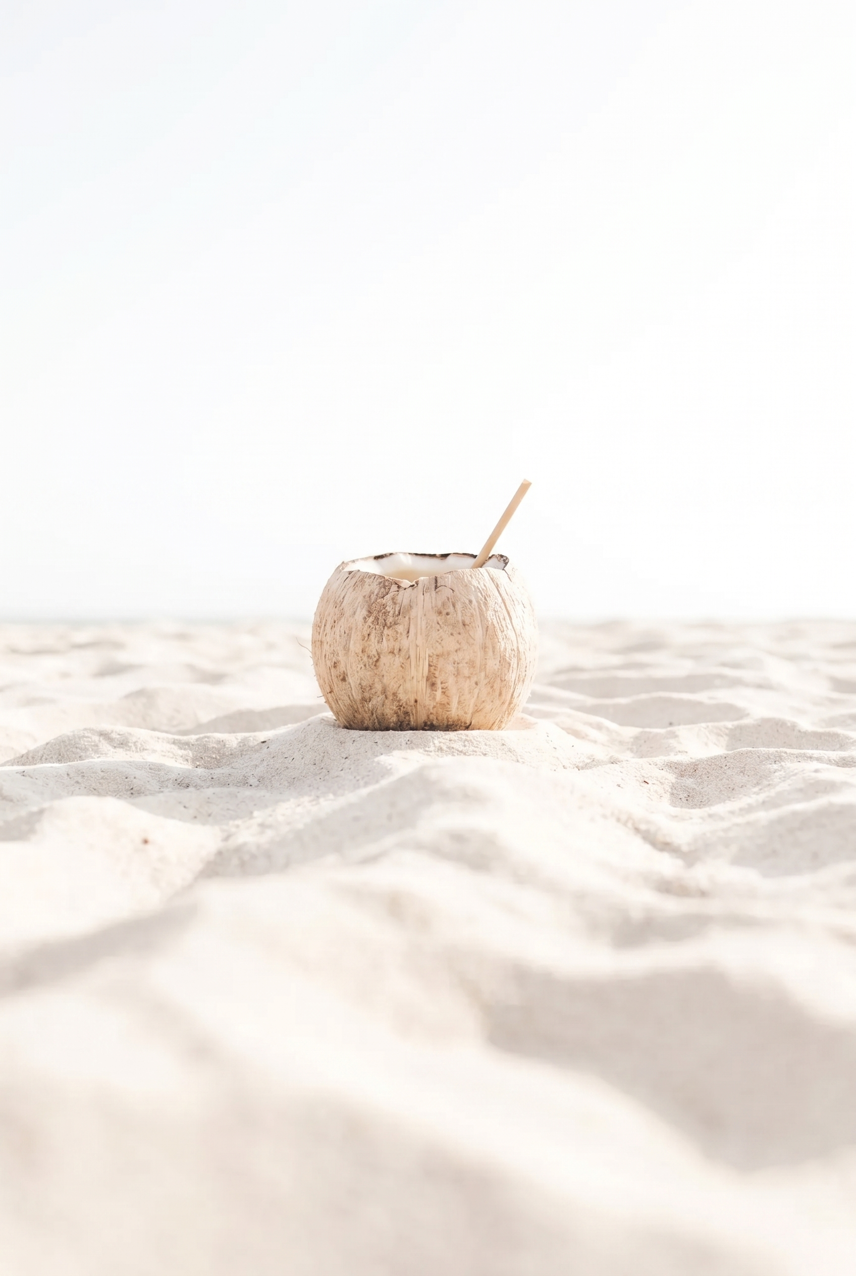 Minimalist Creamy White Coconut Wall Art - Tropical Coconut Sip