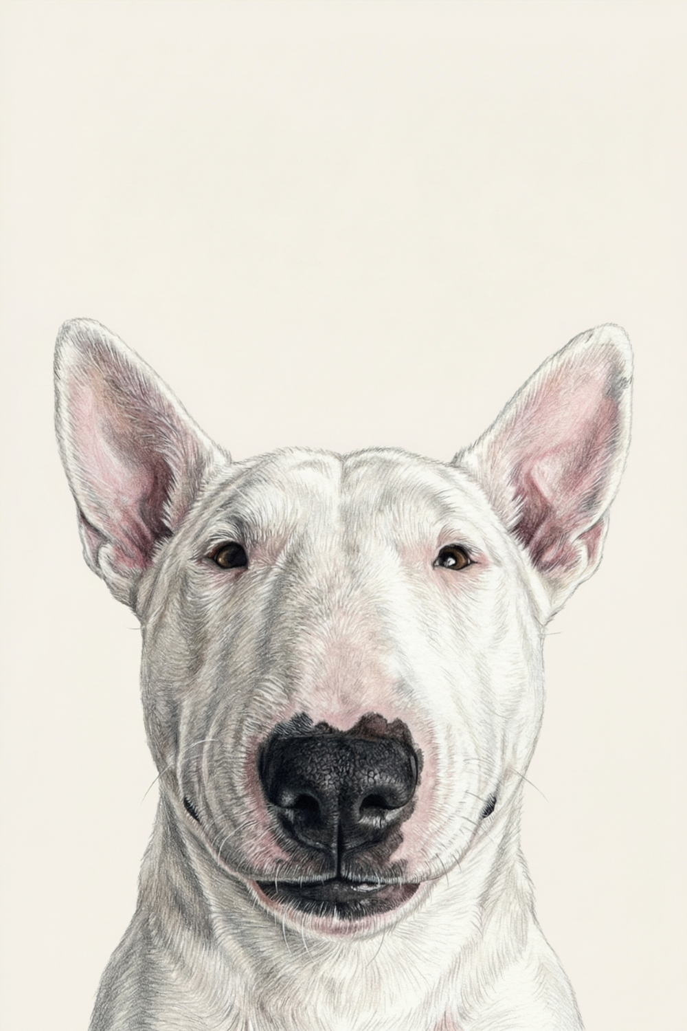 Minimalist White Bull Terrier Wall Art - Noble Bull Terrier