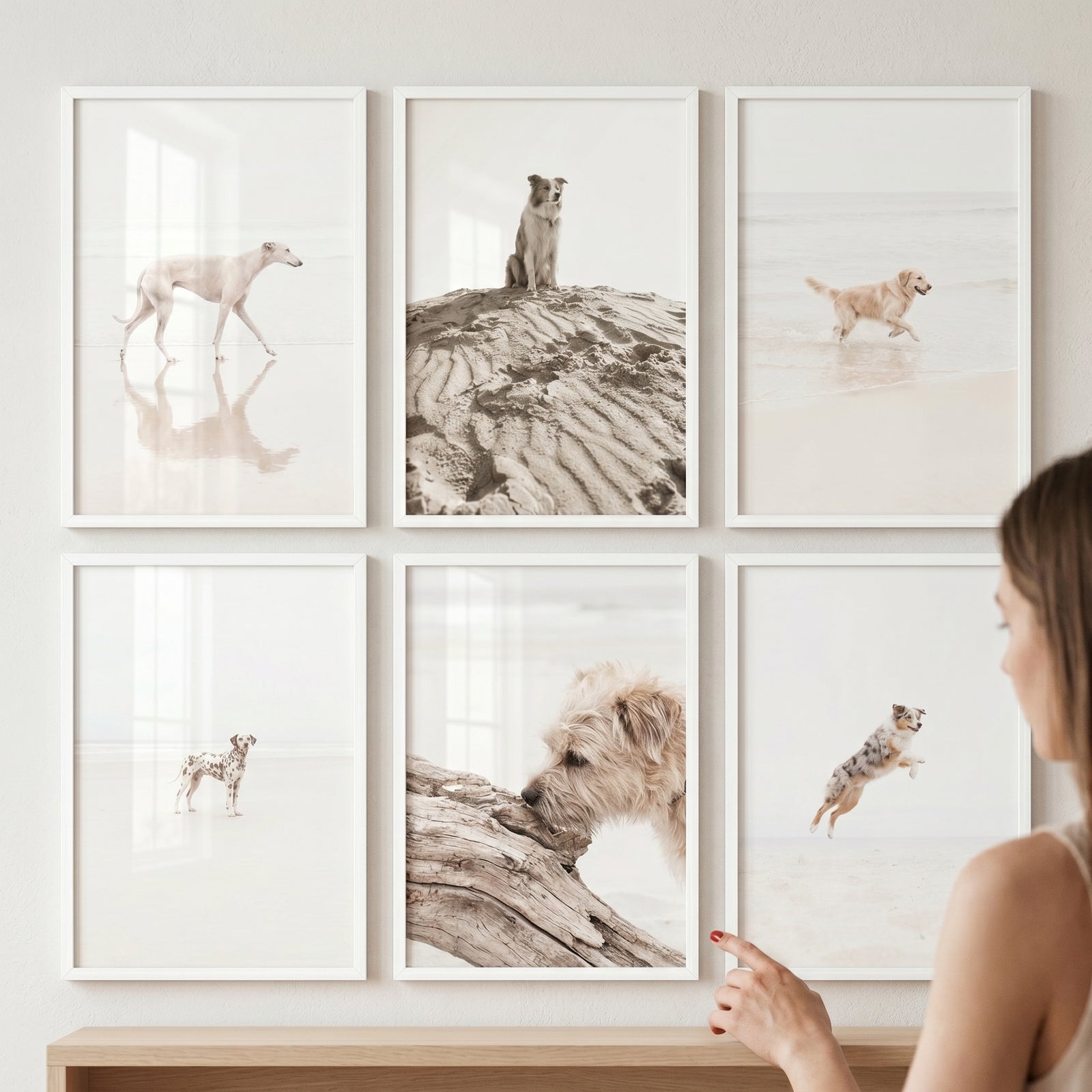 Minimalist white coastal dog wall art set of 6 displays various dogs on sand dunes and beaches in simple white frames.