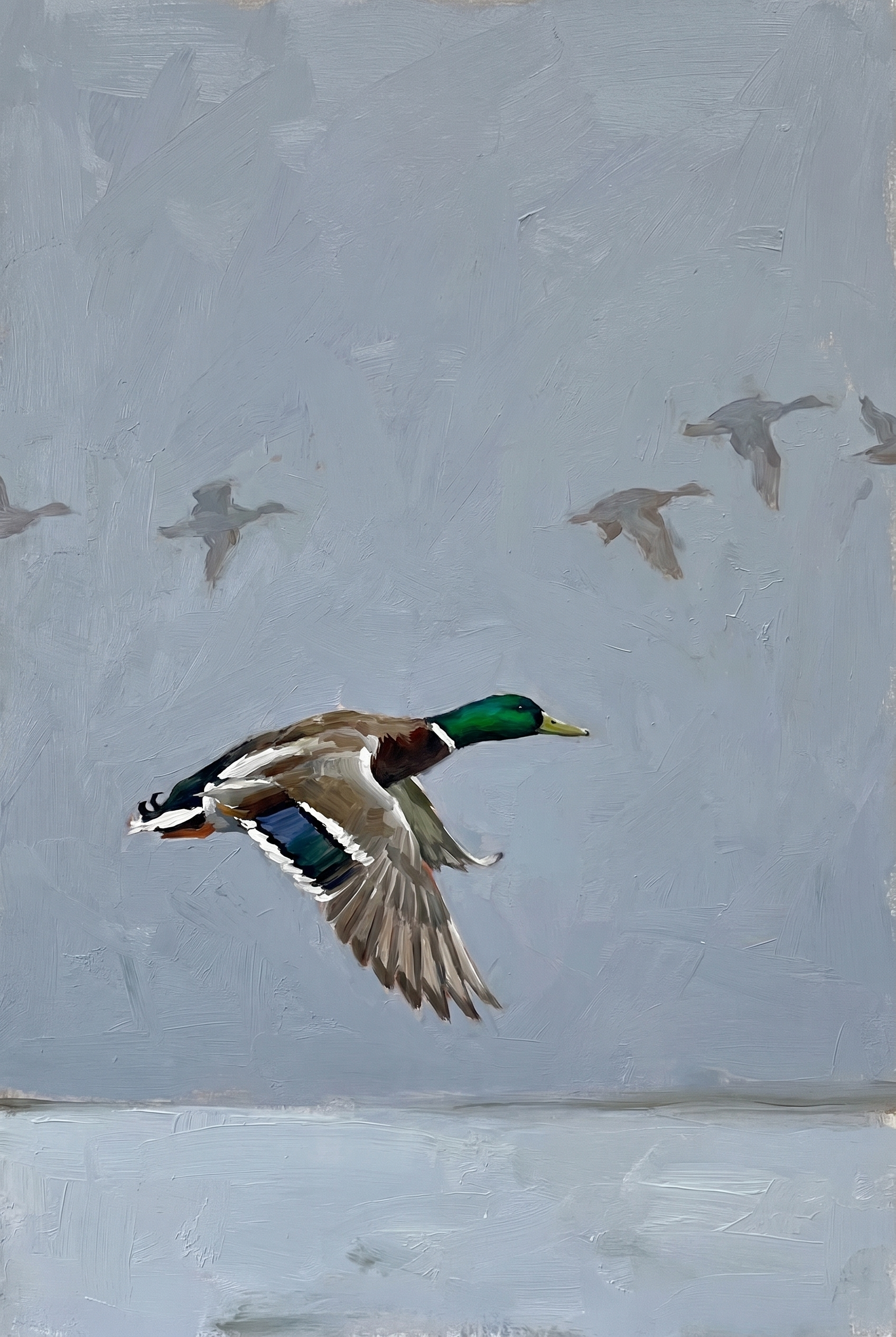 Muted Flying Mallard Duck Wall Art - Mallard In Motion