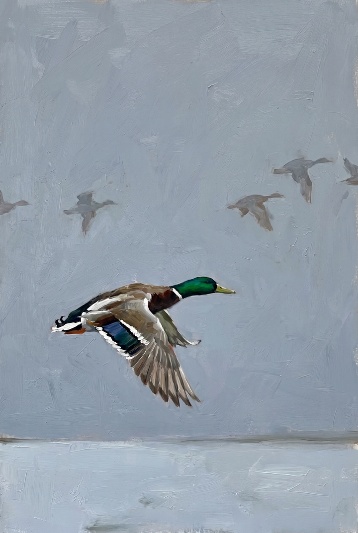 Textured muted flying mallard duck wall art with a colorful bird in flight against a gray background with silhouettes.