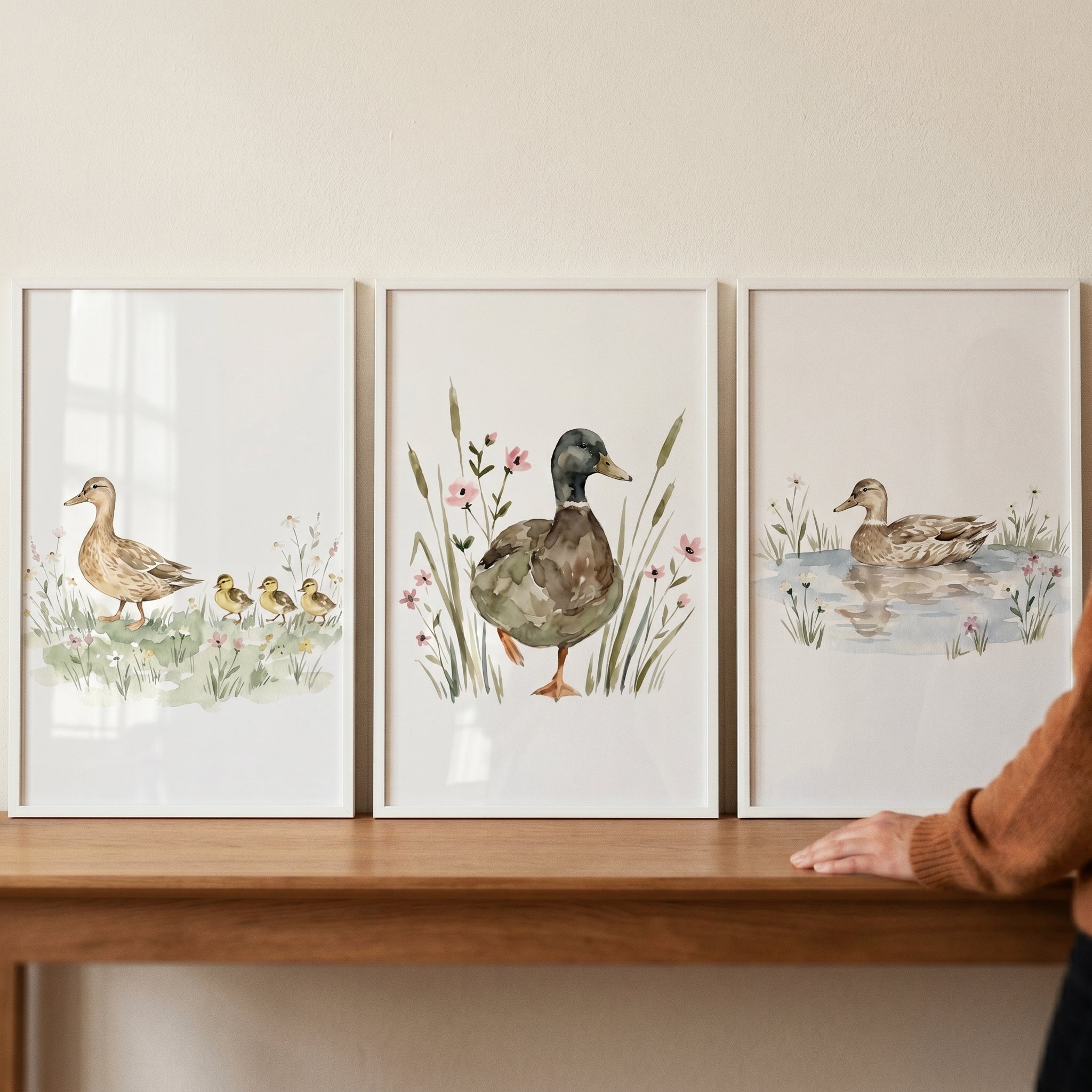 Nature Mallard Duck Wall Art Set of 3 - Gentle Duckling Scenes