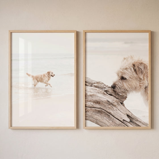 Neutral coastal dog wall art set of 2 featuring dogs on a beach in muted tones with light wooden frames.
