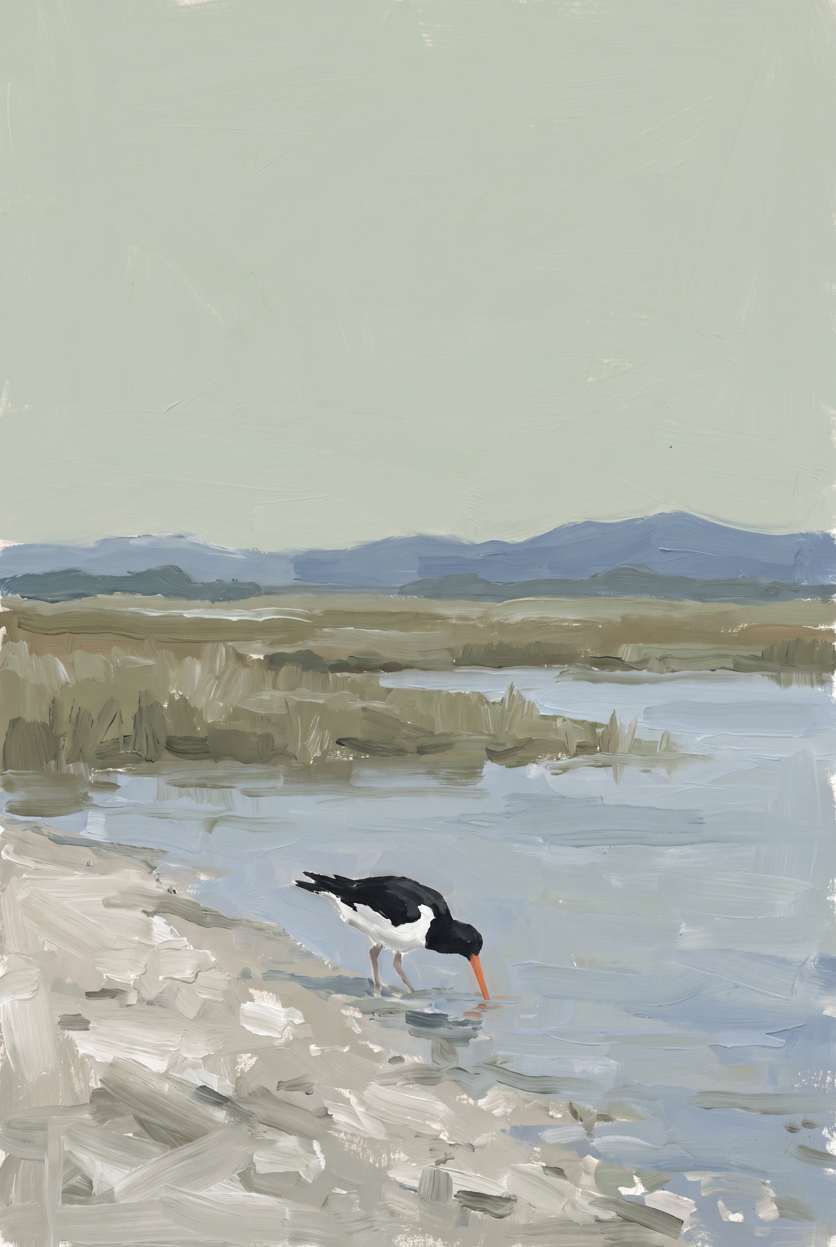 Orange Beak Oystercatcher Bird Wall Art - Oystercatcher At Bay