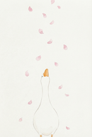 Minimal watercolor illustration of a white duck looking upward as soft pink flower petals fall around it against a light background. The simple composition highlights a calm and airy spring atmosphere.
