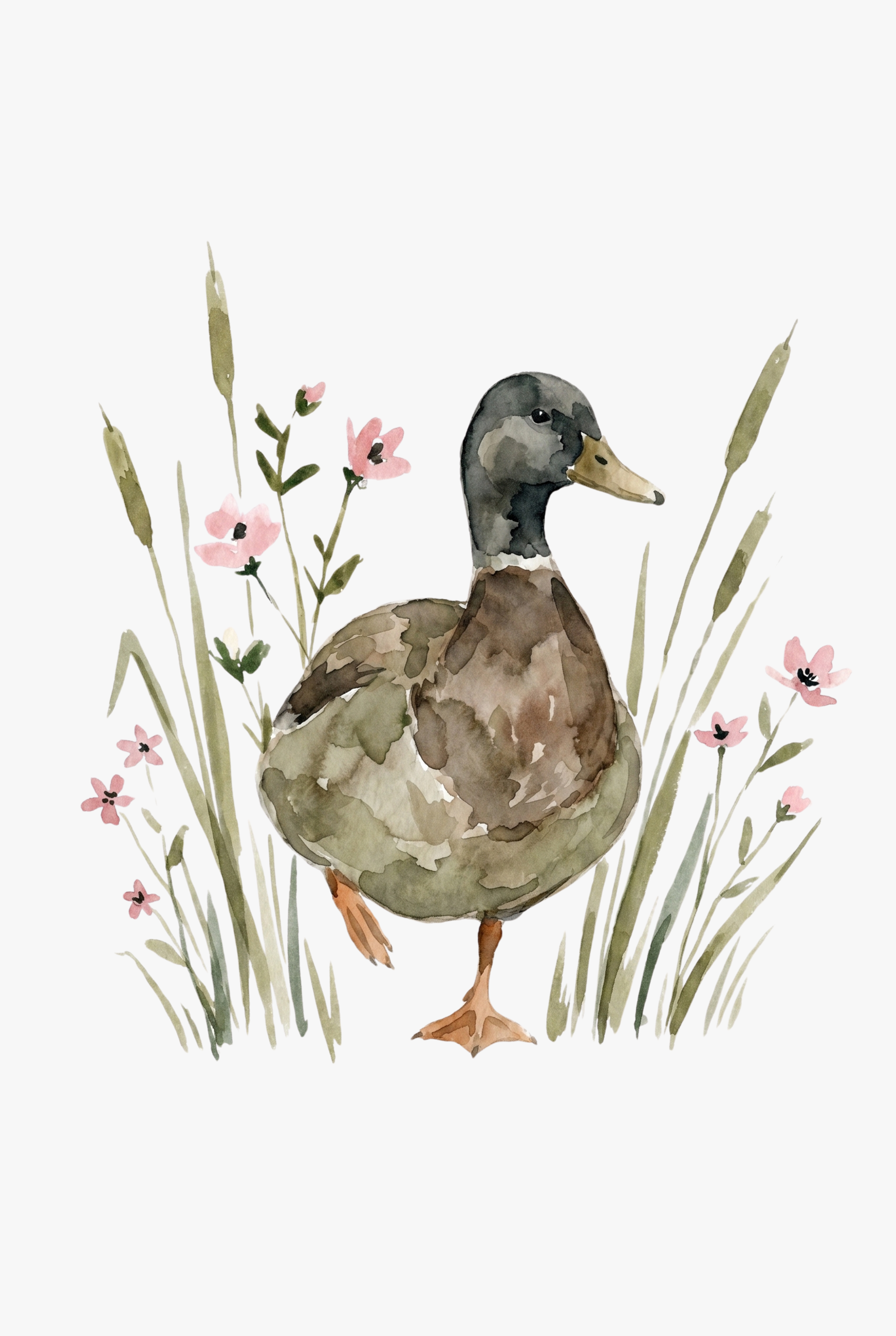 Pink Wildflower Mallard Duck Wall Art - Serene Marsh Mallard