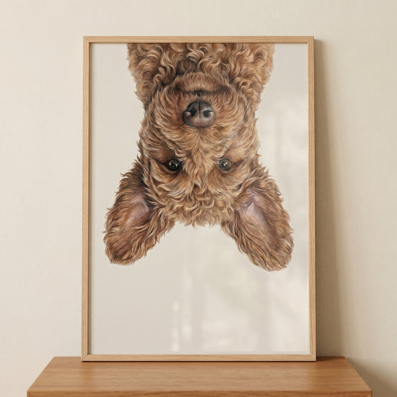 Upside-down curly dog peeks from the top of this playful brown poodle mix wall art in a light wood frame.