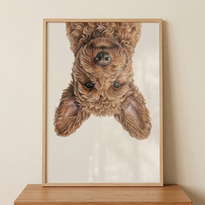 Upside-down curly dog peeks from the top of this playful brown poodle mix wall art in a light wood frame.
