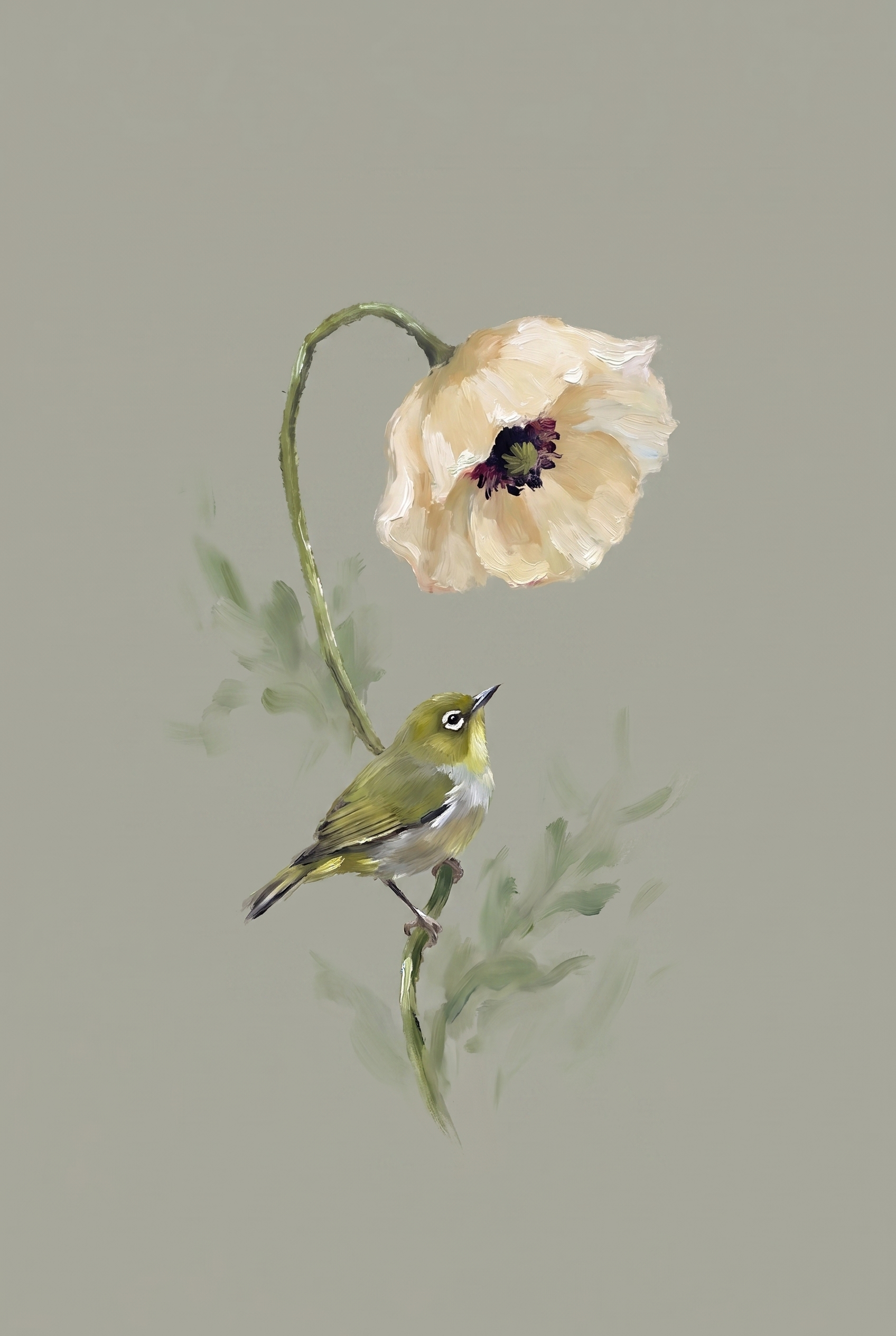 Poppy White Eye Bird Wall Art - The Poppy Perch