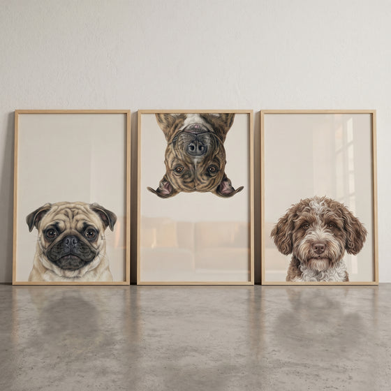 Realistic neutral pet dog wall art set of 3 with a pug, an upside-down brindle dog, and a fluffy brown and white dog.