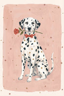 Dalmatian dog sitting with a red bow tie and a red rose held gently in its mouth against a soft pink background with scattered gold stars creating a sweet romantic feel.