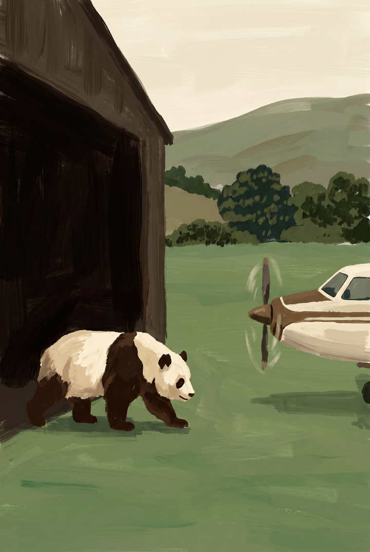 A panda walks from a dark hangar toward a spinning propeller airplane in this sage green landscape panda artwork.