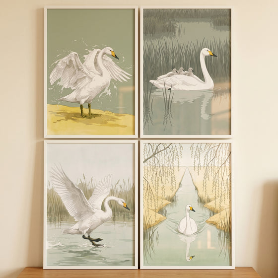 Sage green marsh swan wall art set of 4 featuring white swans in serene natural wetland and water scenes.