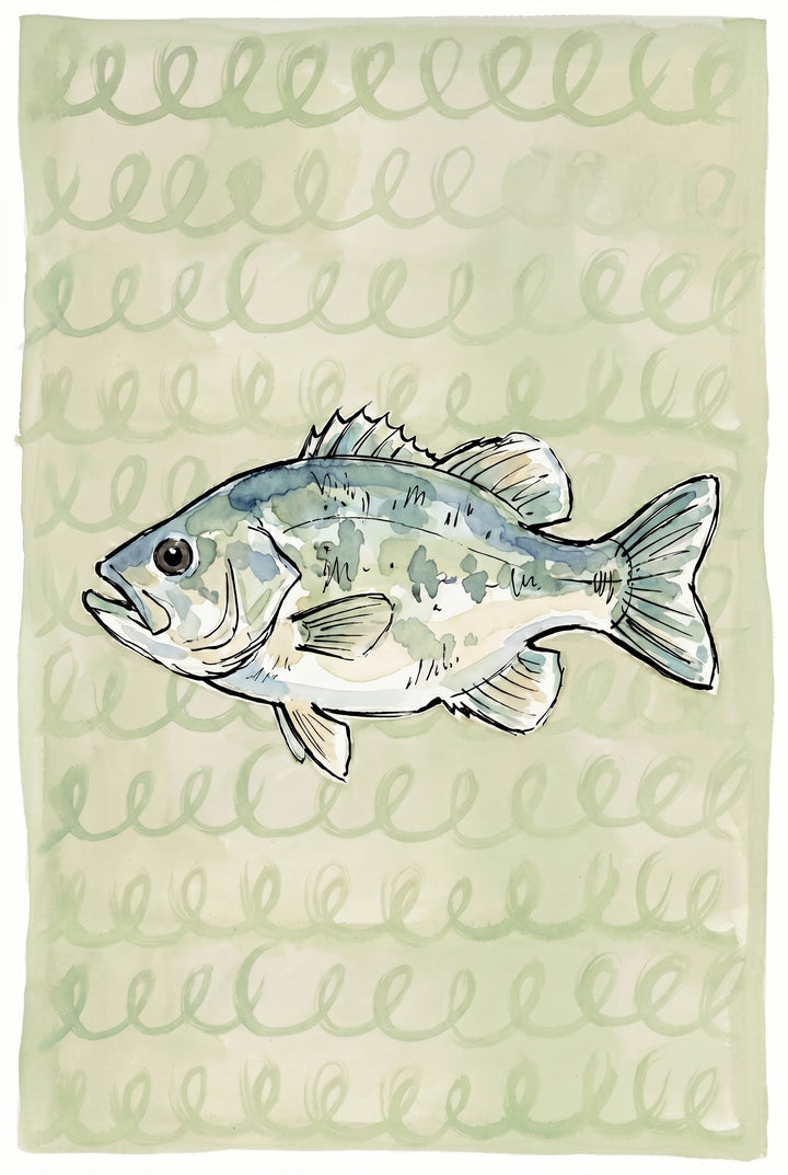 Sage green spiral bass fish wall art with a watercolor-style bass and repetitive swirly background patterns.