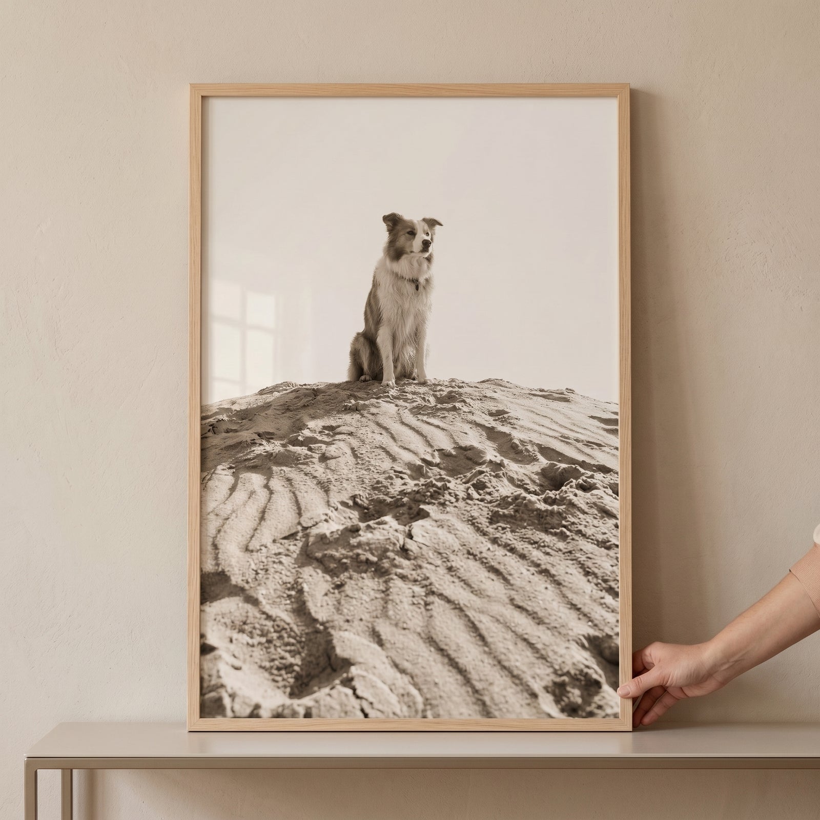 A hand holds a framed sepia dune border collie wall art piece of a dog sitting atop a rippled sand hill.
