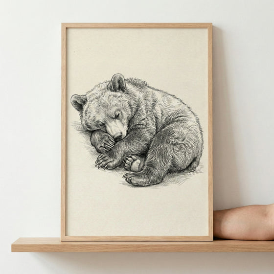 A detailed pencil sketch of a sleeping bear cub, curled up in a ball with its paws tucked in. The drawing is shown in a light-colored wooden frame, resting on a wooden shelf against a plain, light-toned wall.