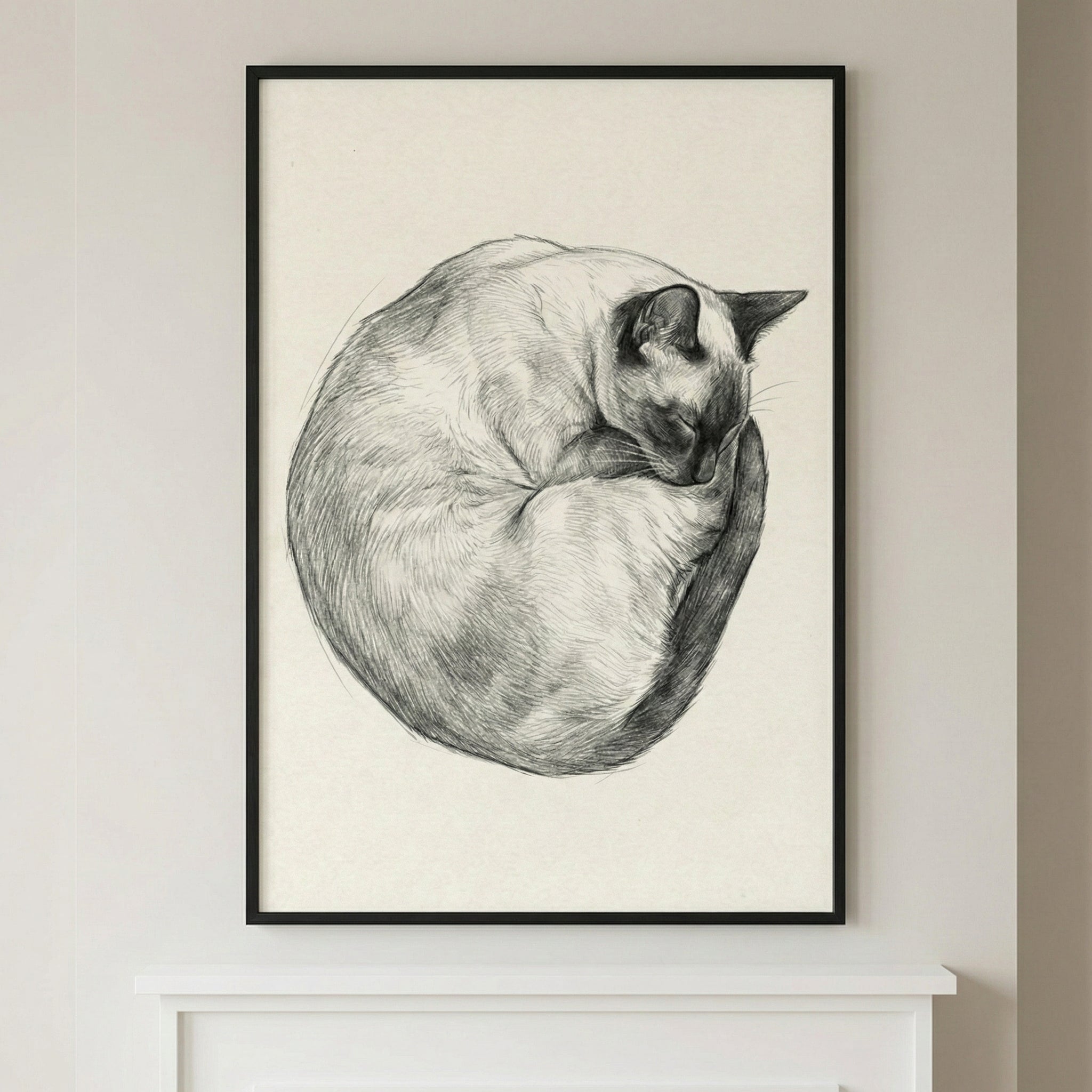 A pencil-style sketch of a light-colored cat with dark points on its face, ears, and tail, curled into a tight circular ball. The drawing uses detailed shading and line work to show the texture of the fur and the rounded form of the sleeping animal. The artwork is held in a thin black frame and hangs on a neutral wall above a white mantel.