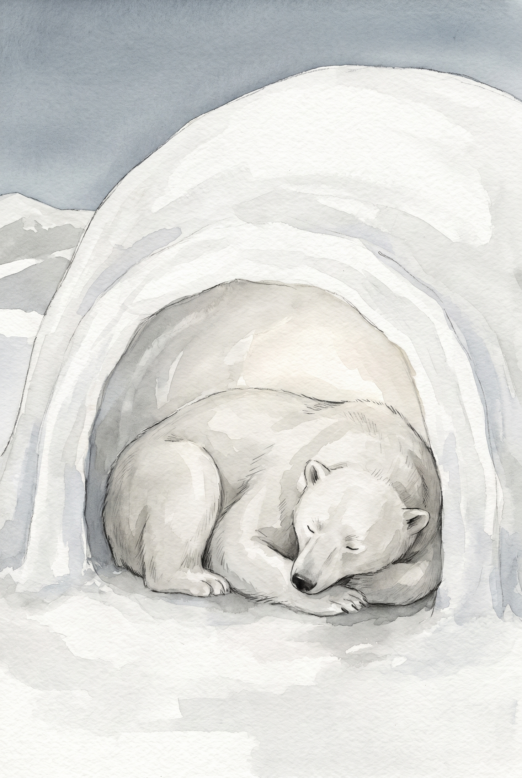 Sleeping Igloo Polar Bear Wall Art - Arctic Slumber