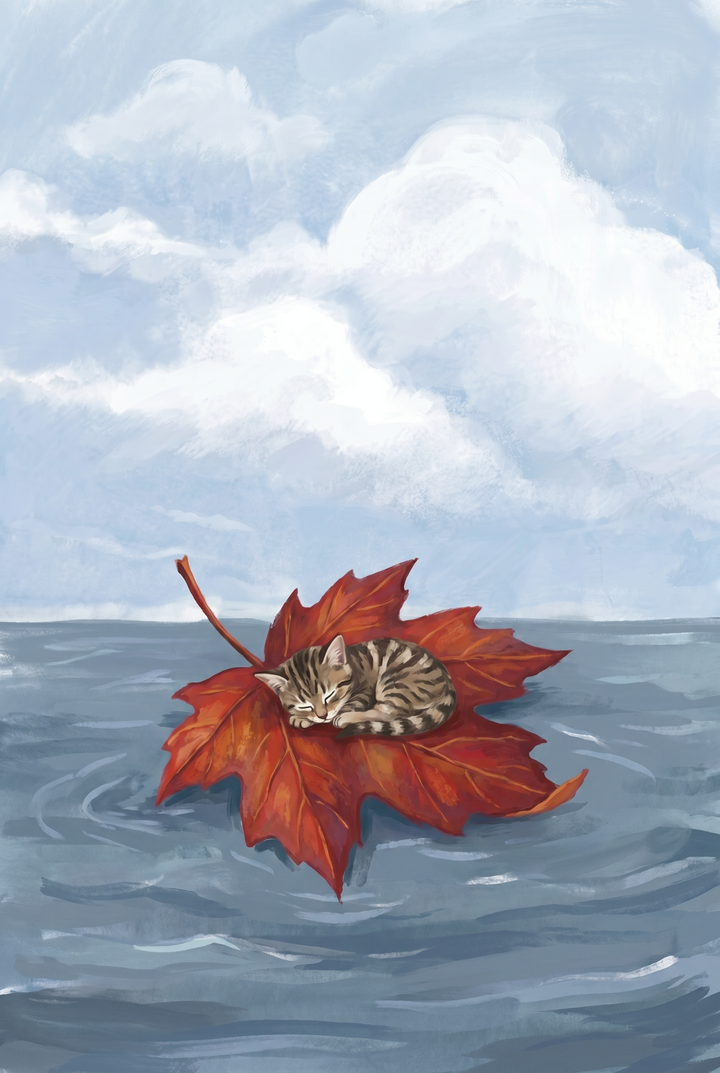 Small tabby kitten naps on a red leaf floating on water under a cloudy sky in this sleeping maple leaf kitten wall art.