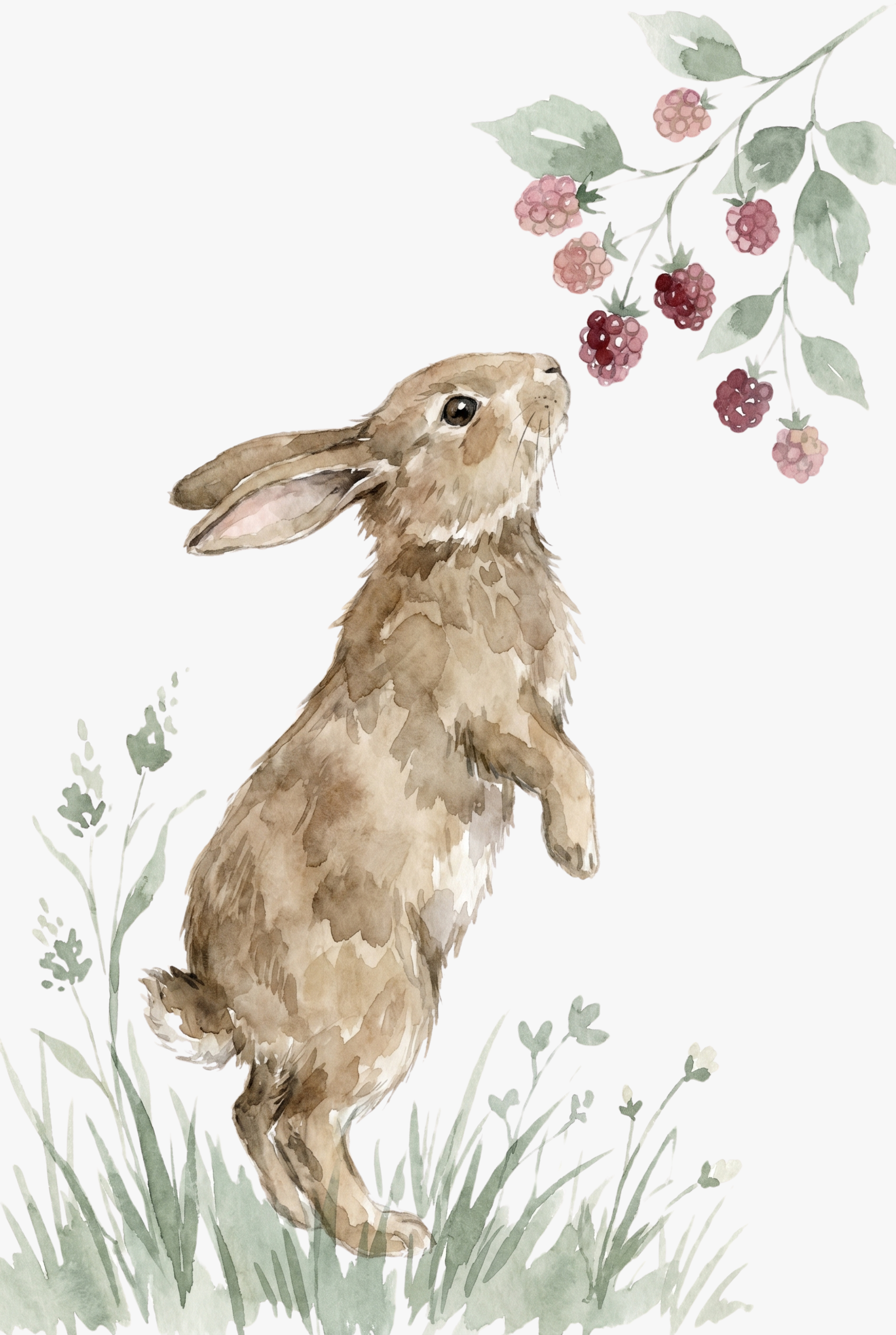 Sniffing Blackberry Bunny Wall Art - Berry Patch Bunny
