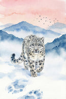 A majestic snow leopard is shown walking forward through a pristine snowy landscape. The animal features thick, pale fur adorned with dark rosettes and a long, powerful tail. Its focused gaze is fixed ahead. Behind the leopard, layers of misty, blue-toned mountains recede into the distance under a soft, peach and pink sky. A small flock of birds flies across the warm horizon. This watercolor illustration uses soft color washes and delicate details to convey a serene, cold atmosphere.