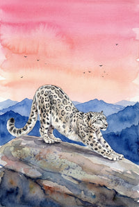A watercolor illustration depicts a snow leopard stretching on a rocky outcrop. The animal's thick, cream-colored fur is covered in dark rosettes and spots as it arches its back and extends its front paws forward. In the background, layers of deep blue mountains rise against a soft sky filled with washes of pink, peach, and orange. Small bird silhouettes fly through the colorful sky. The artwork features textured washes and delicate details, highlighting the grace of the big cat.