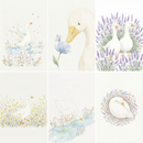 Six soft watercolor-style illustrations featuring white ducks in serene nature scenes. Top-left: a duck floating on a blue pond amidst wildflowers. Top-middle: a close-up of a duck looking at a blue flower with a butterfly. Top-right: two ducks standing in a field of tall lavender. Bottom-left: a duck walking through yellow wildflowers. Bottom-middle: a duck drinking from a gentle stream. Bottom-right: a duck curled up asleep inside a circular wreath of pink and purple flowers.