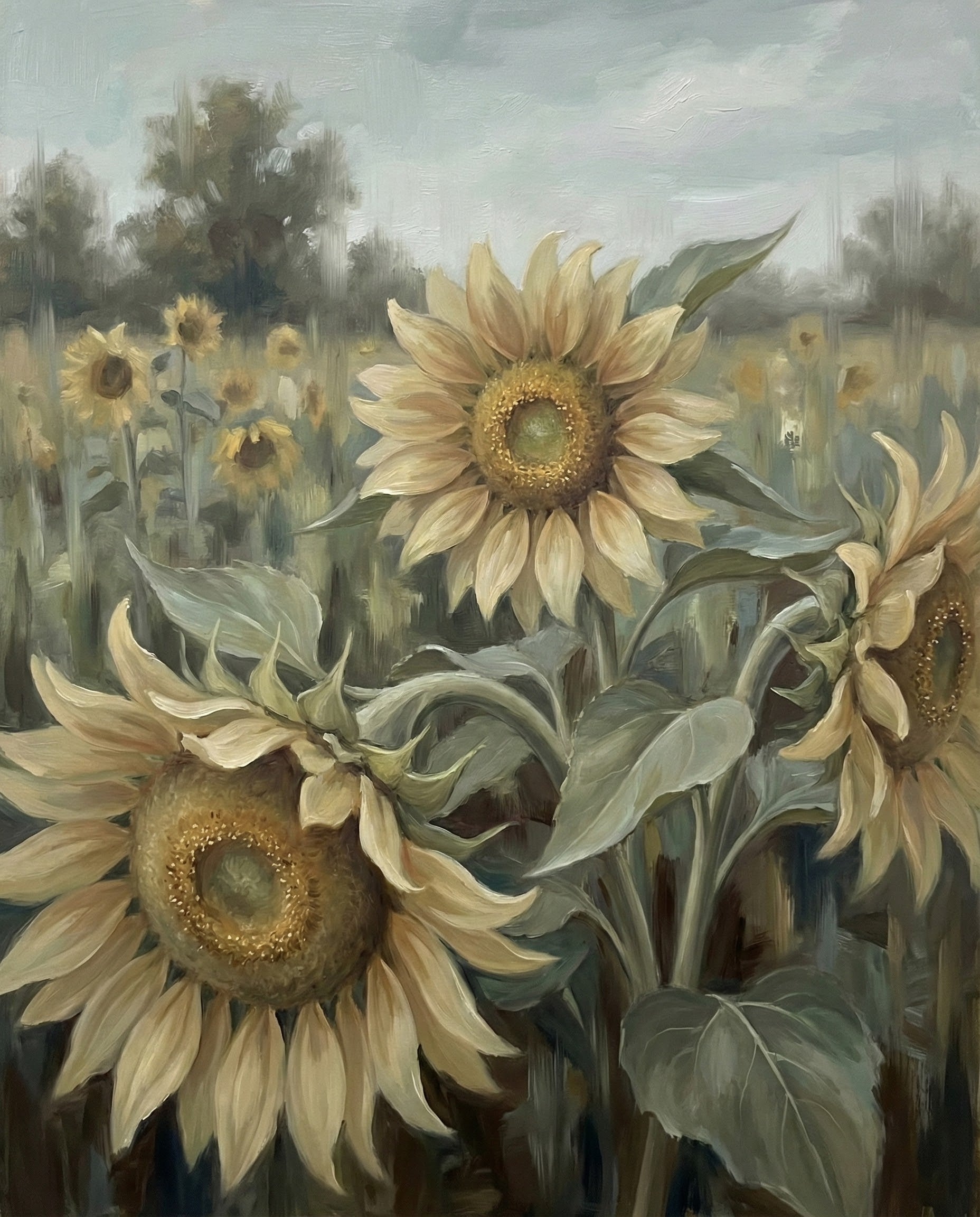 Sunlit Canvas - Sunflowers Framed Wall Art for Living Room, Bedroom or Office