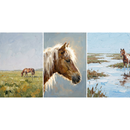 A triptych consisting of three vertical panels depicting horses in a natural setting. The left panel shows a brown horse grazing in a vast green and yellow field beneath a pale sky. The center panel is a close-up profile of a horse's head, showcasing its brown coat and long, white mane against a soft blue backdrop. The right panel features a brown and white horse standing near a reflective stream in a marshy landscape. The entire set utilizes a textured, impasto style with thick brushstrokes.