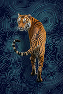 A tiger walks away with its tail curled and glances back over its shoulder. The swirling blue contour pattern behind it creates a dreamlike, graphic effect.