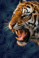 Close-up of a snarling tiger baring sharp teeth, set against a dark navy background with swirling blue contour lines. Its fur is richly detailed and its eyes fierce.