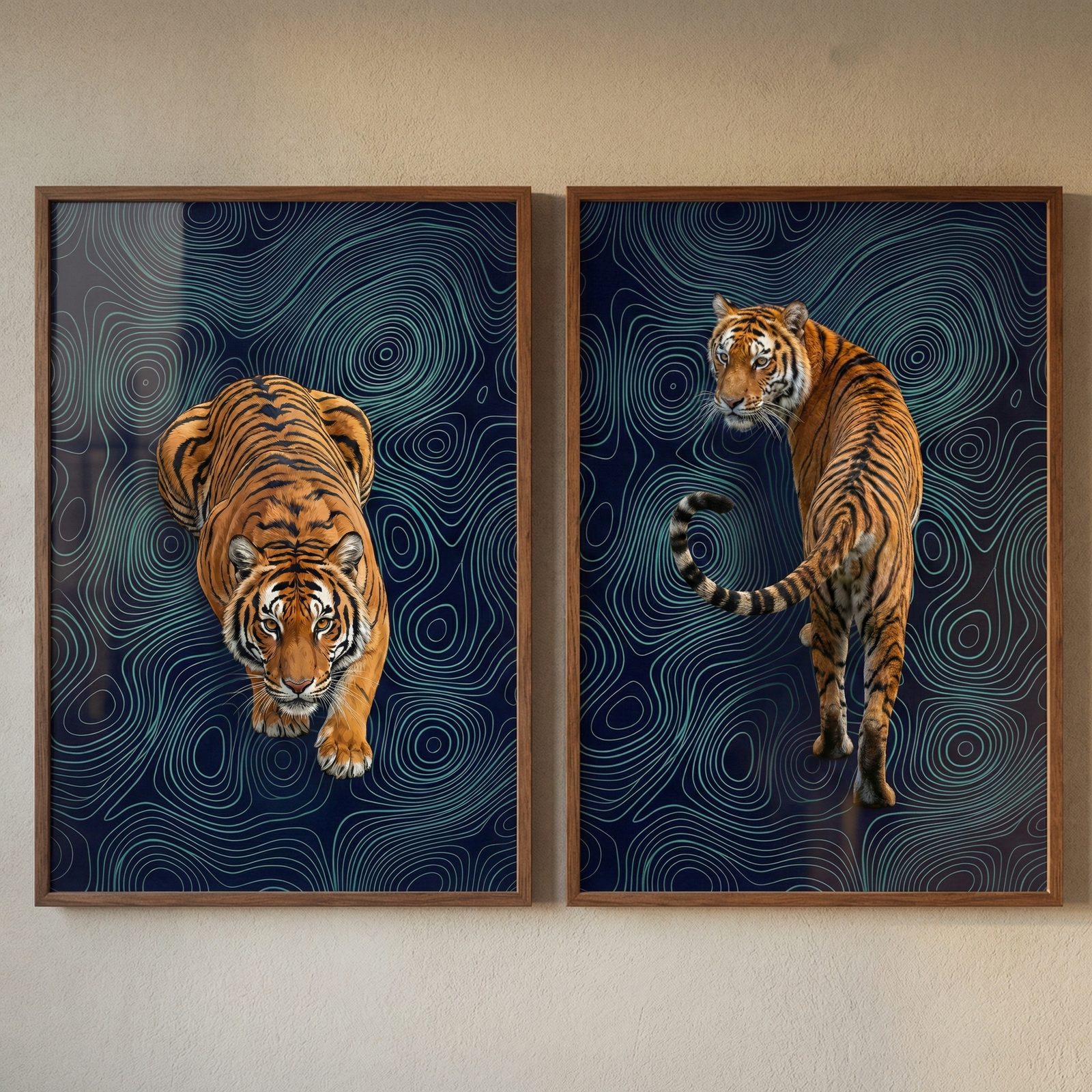 Two framed illustrations of a tiger hang side by side on a wall against a dark blue patterned background. One tiger walks forward toward the viewer while the other is shown from behind turning its head to look back.
