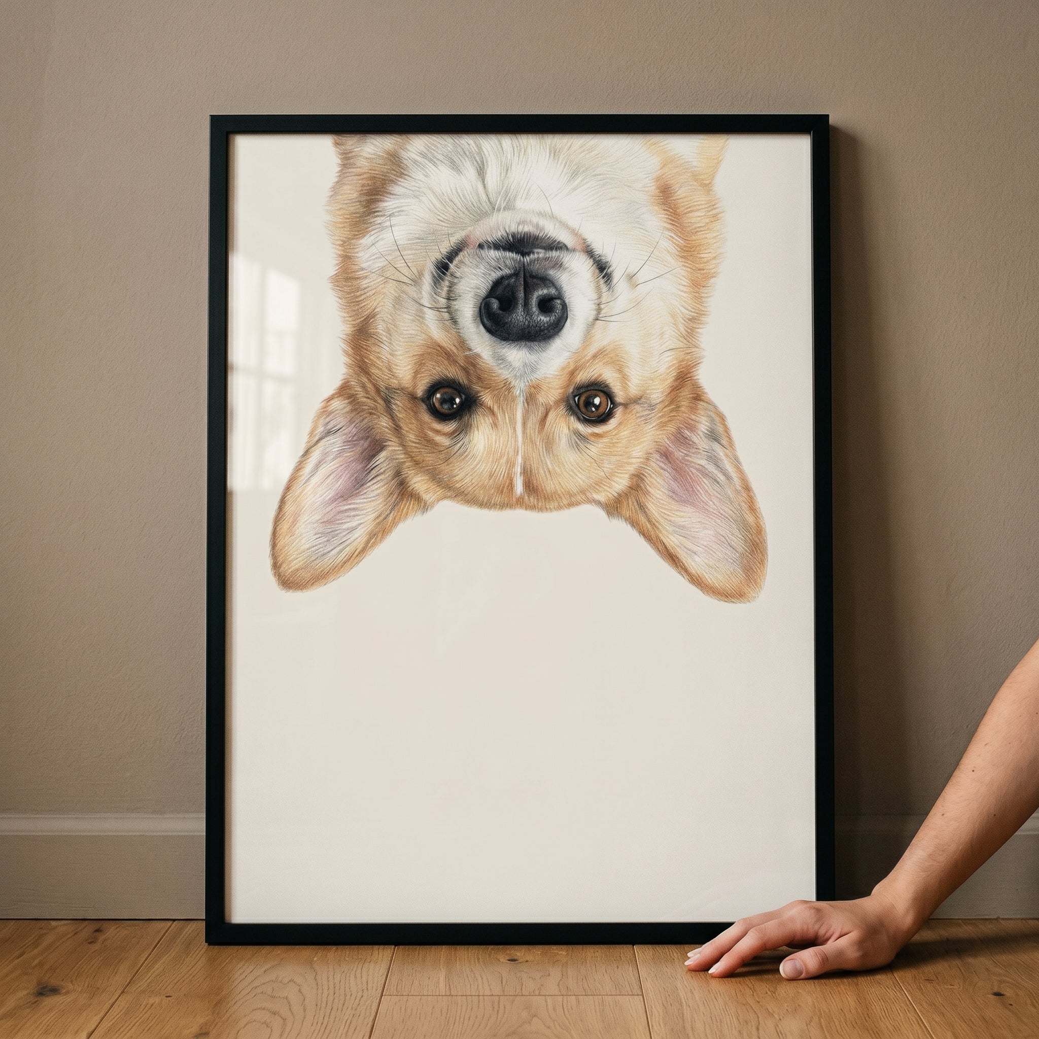 Upside Down Tan Corgi Wall Art - Upside Down Corgi