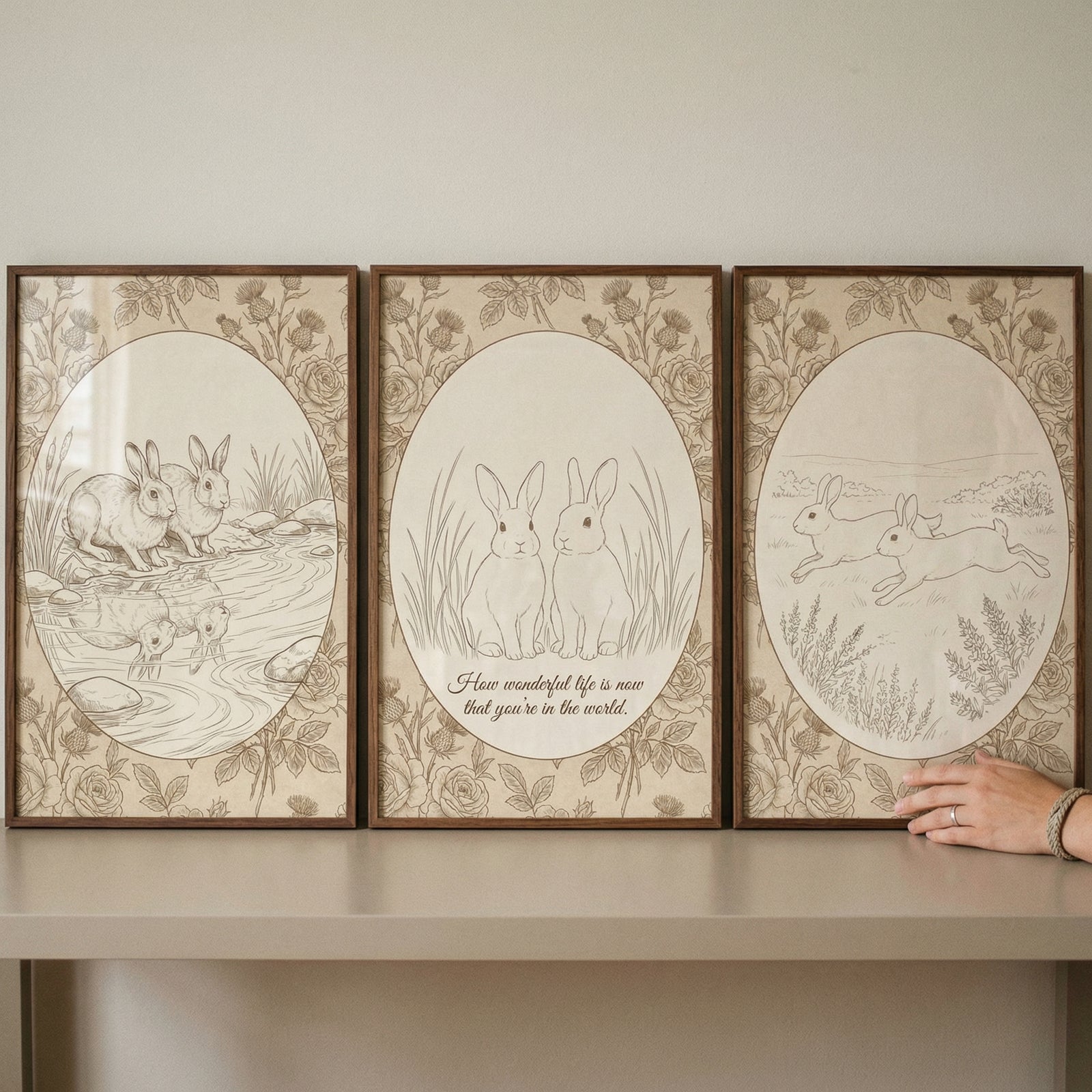 Three framed rectangular artworks are displayed side-by-side on a light-colored shelf against a neutral-toned wall. Each piece features a sepia-toned line illustration enclosed within an oval border, surrounded by a decorative floral pattern of roses and thistles. The illustrations are housed in thin, dark wood frames.
