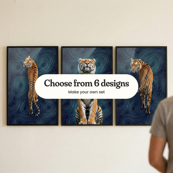 Three tiger prints in black frames on a cream wall, with a man's shoulder in the foreground: a tiger seen from above turning its head back, a tiger sitting upright with its chin raised and a tiger seen from behind looking back over its shoulder, with a label reading Choose from 6 designs, Make your own set
