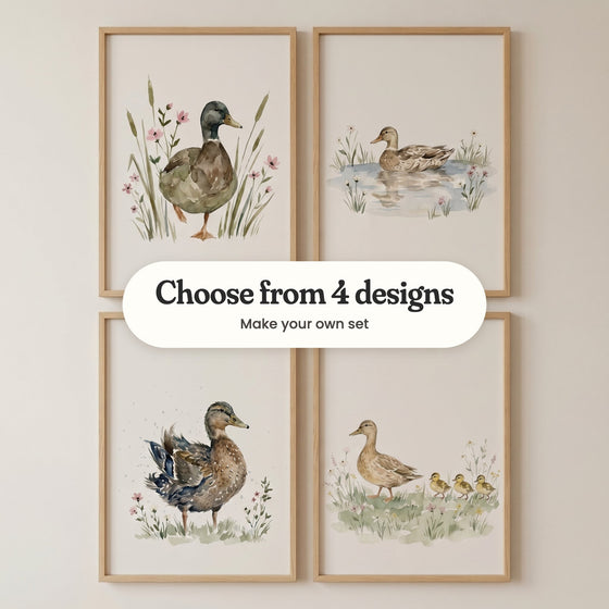 Four duck prints in light wood frames in two rows on a pale wall: a mallard walking through cattails, a brown duck floating on a pond, a spotted brown duck fluffing its wings and a mother duck leading three ducklings, with a label reading Choose from 4 designs, Make your own set