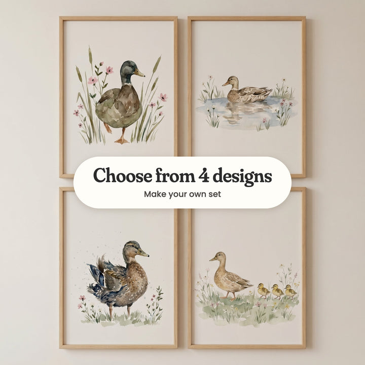 Four duck prints in light wood frames in two rows on a pale wall: a mallard walking through cattails, a brown duck floating on a pond, a spotted brown duck fluffing its wings and a mother duck leading three ducklings, with a label reading Choose from 4 designs, Make your own set