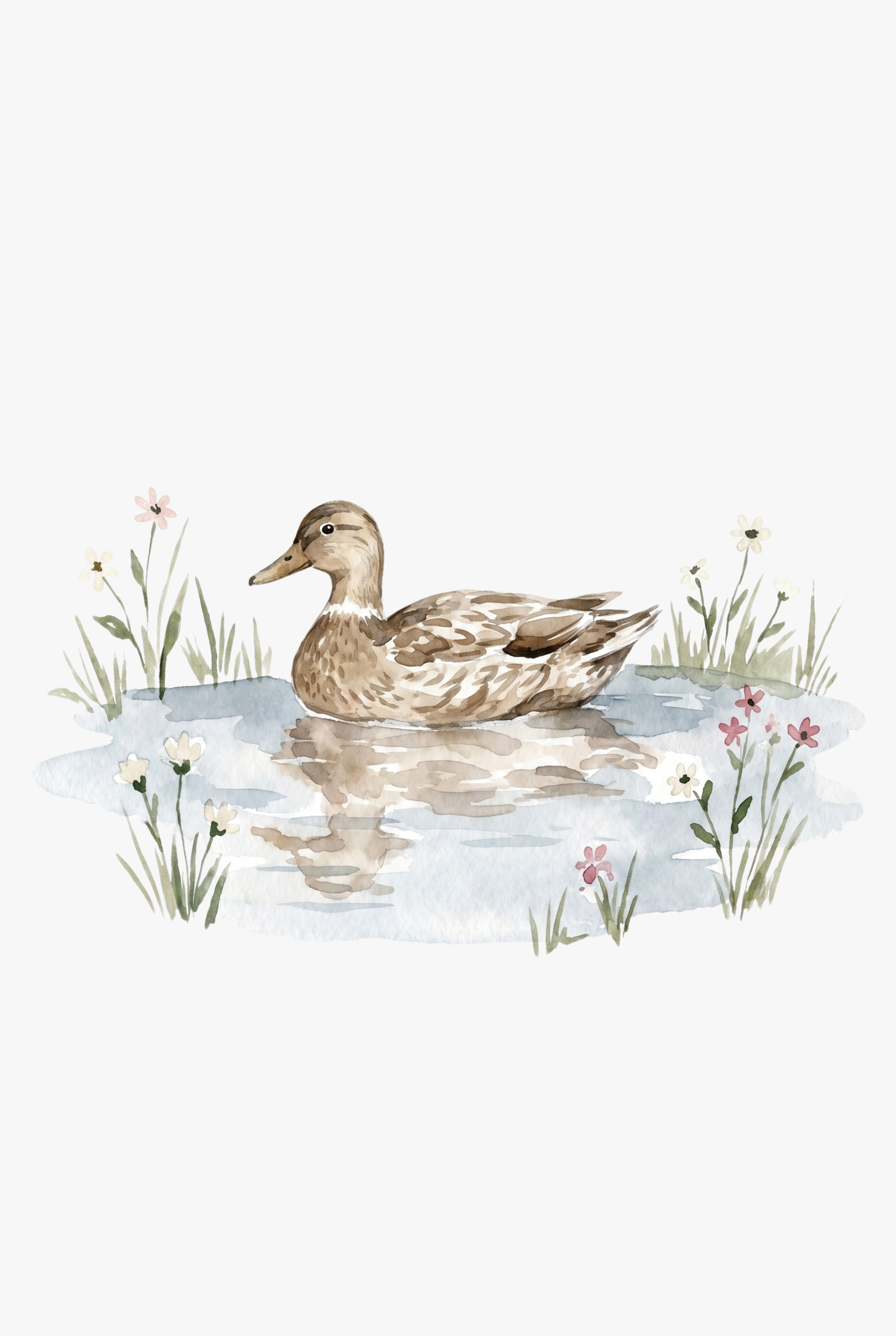 Water Reflection Mallard Duck Wall Art - Quiet Pond Duck