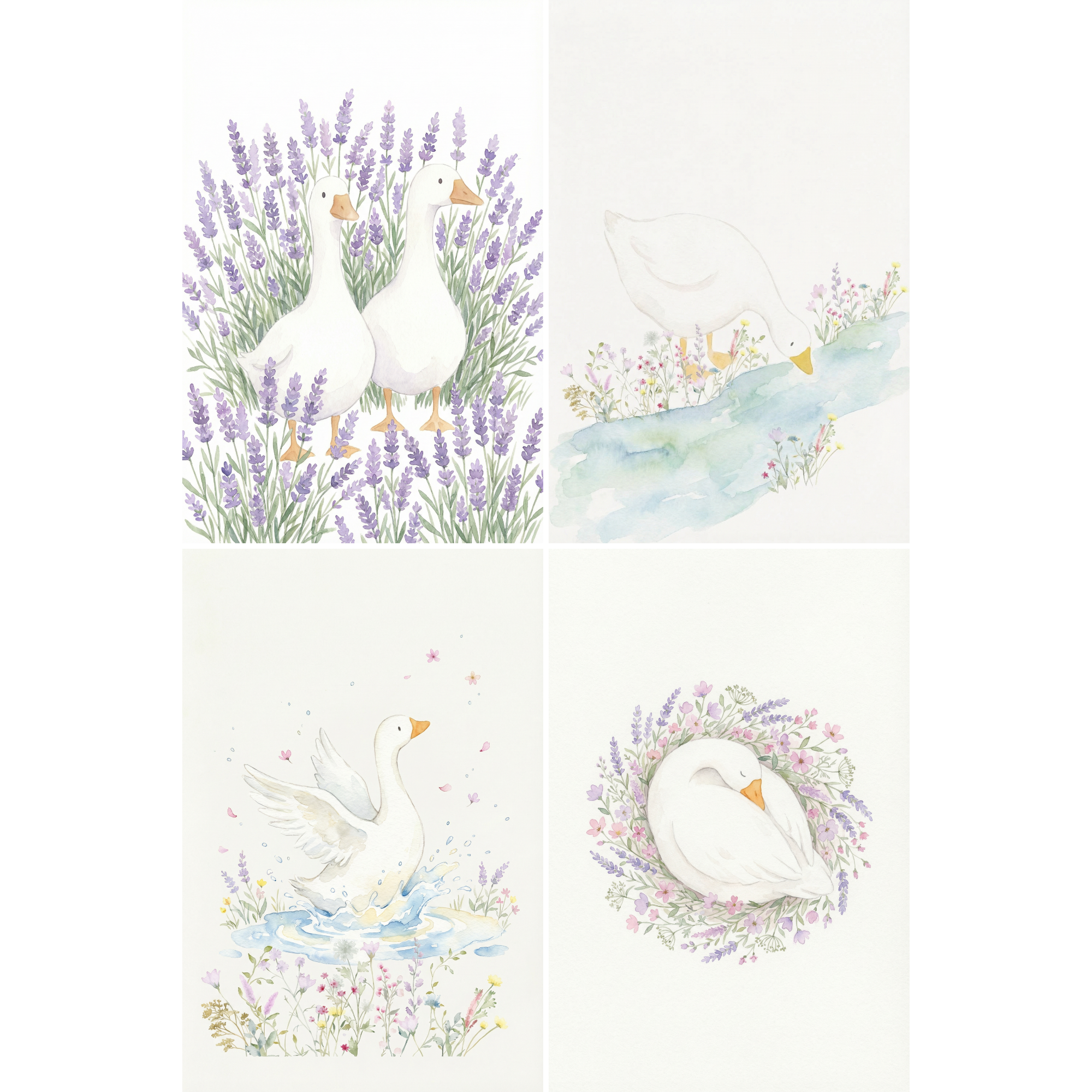 Watercolor Floral White Goose Wall Art Set of 4 - Pastoral Waterfowl Scenes