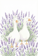 Watercolor illustration of two white ducks standing side by side surrounded by tall purple lavender flowers. The soft tones and repeating floral pattern create a peaceful and charming countryside feel.
