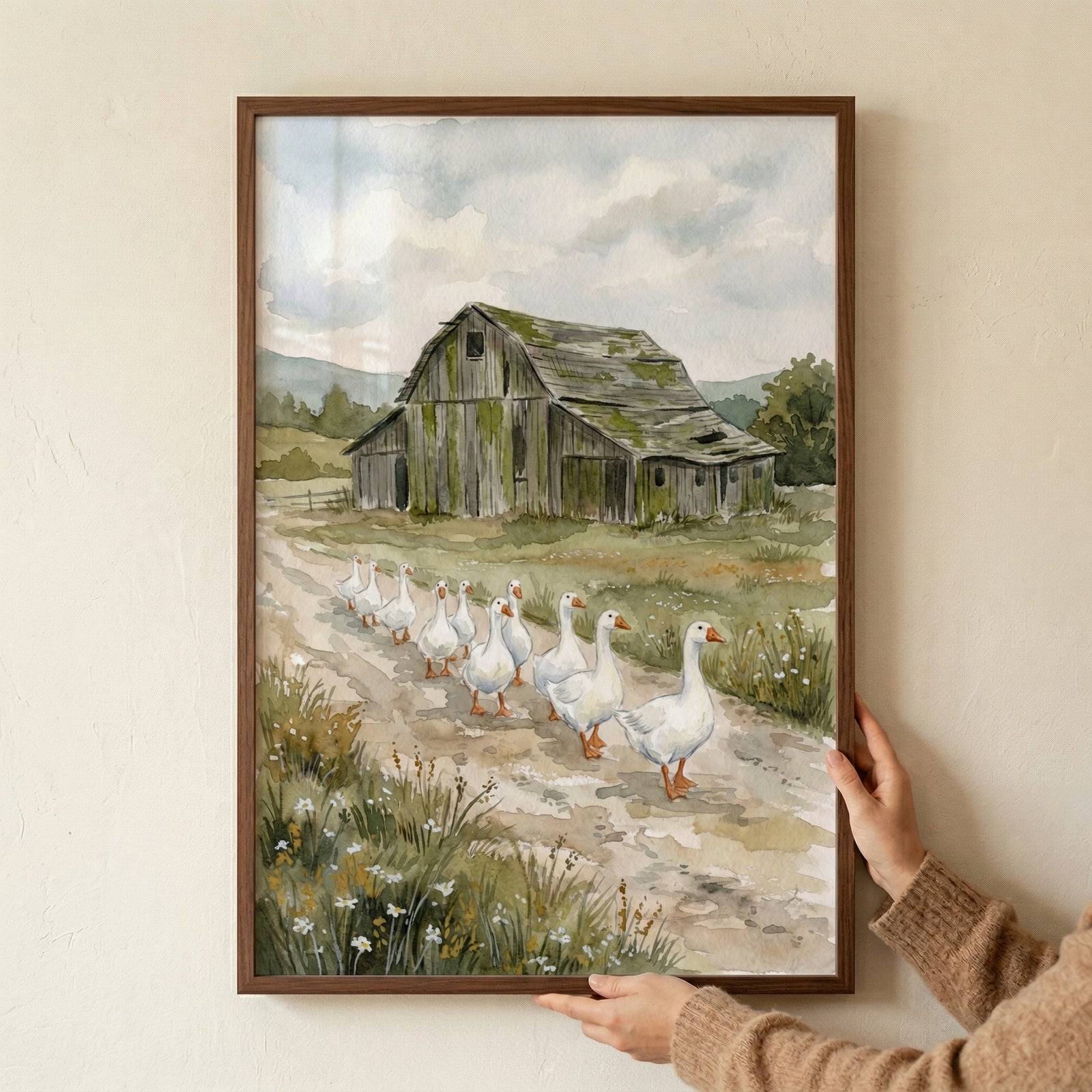 A watercolor illustration of a group of white geese walking in a line down a muddy dirt path in a rural setting. In the background, an old, weathered gray wooden barn with patches of moss on its roof sits amongst green fields. 