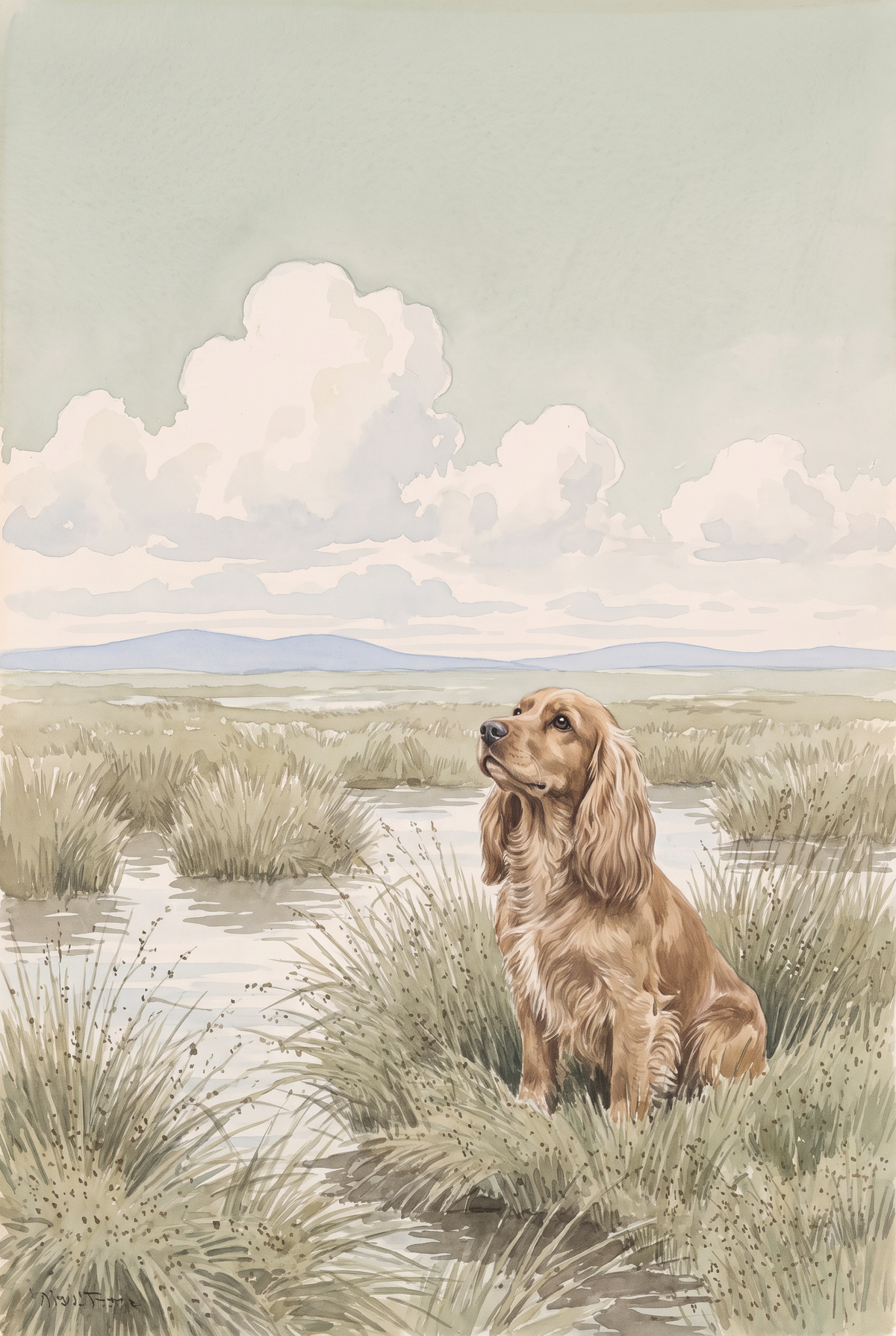 Watercolor Marsh Cocker Spaniel Dog Wall Art - Golden Marsh Gaze